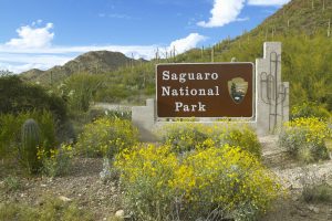 Federal DUI in National Park or Forest or Military base in Tucson Arizona